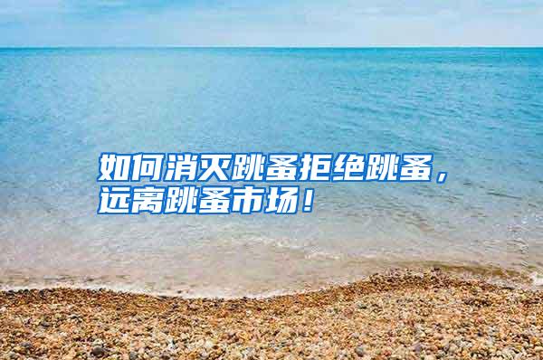 如何消滅跳蚤拒絕跳蚤,遠離跳蚤市場!