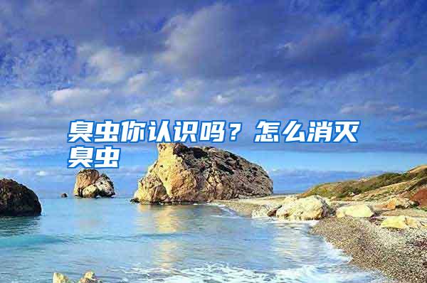 臭蟲你認(rèn)識(shí)嗎?怎么消滅臭蟲