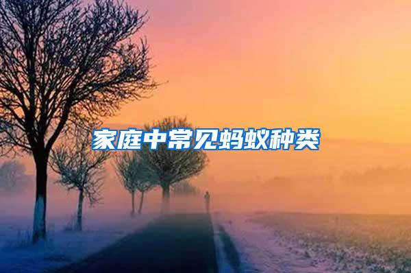 家庭中常見(jiàn)螞蟻種類(lèi)