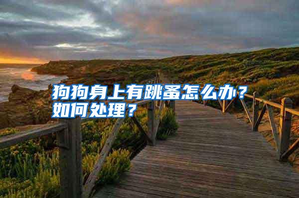 狗狗身上有跳蚤怎么辦？如何處理？