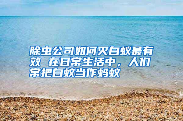 除蟲公司如何滅白蟻最有效 在日常生活中,人們常把白蟻當作螞蟻