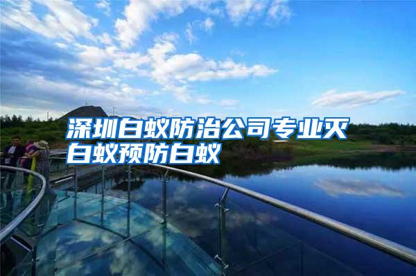 深圳白蟻防治公司專業(yè)滅白蟻預防白蟻