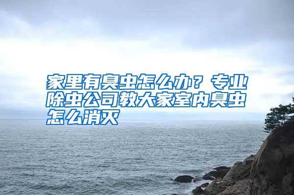 家里有臭蟲怎么辦？專業(yè)除蟲公司教大家室內(nèi)臭蟲怎么消滅