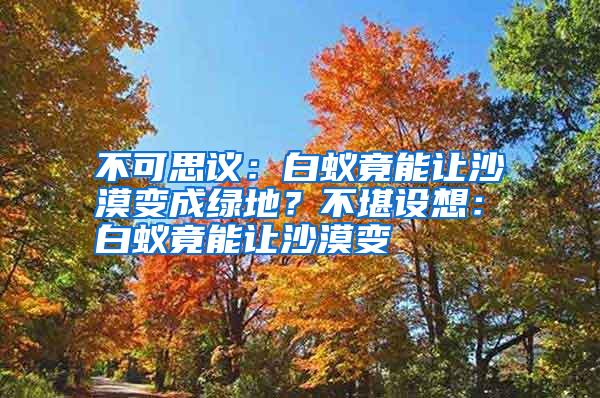 不可思議：白蟻竟能讓沙漠變成綠地？不堪設(shè)想：白蟻竟能讓沙漠變
