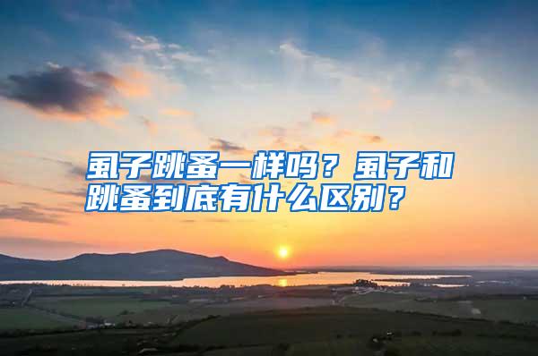 虱子跳蚤一樣嗎？虱子和跳蚤到底有什么區(qū)別？