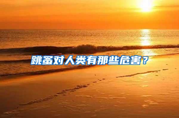 跳蚤對(duì)人類(lèi)有那些危害?