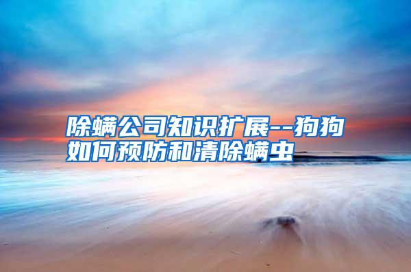 除螨公司知識擴展--狗狗如何預防和清除螨蟲