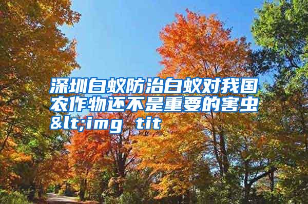 深圳白蟻防治白蟻對(duì)我國(guó)農(nóng)作物還不是重要的害蟲(chóng)<img tit