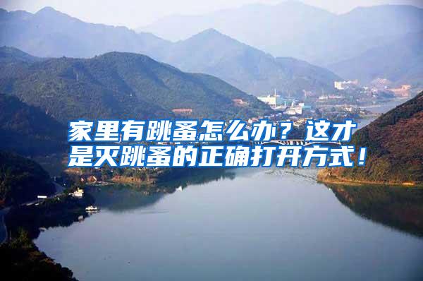 家里有跳蚤怎么辦？這才是滅跳蚤的正確打開方式！