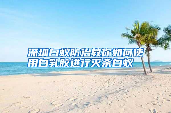 深圳白蟻防治教你如何使用白乳膠進行滅殺白蟻