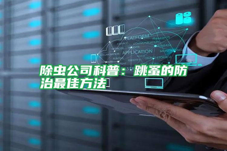 除蟲公司科普:跳蚤的防治最佳方法