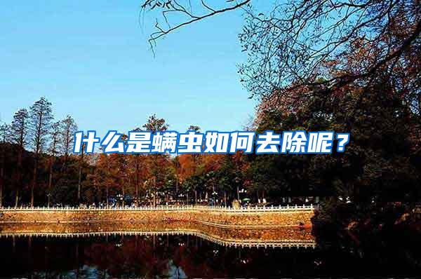 什么是螨蟲(chóng)如何去除呢?