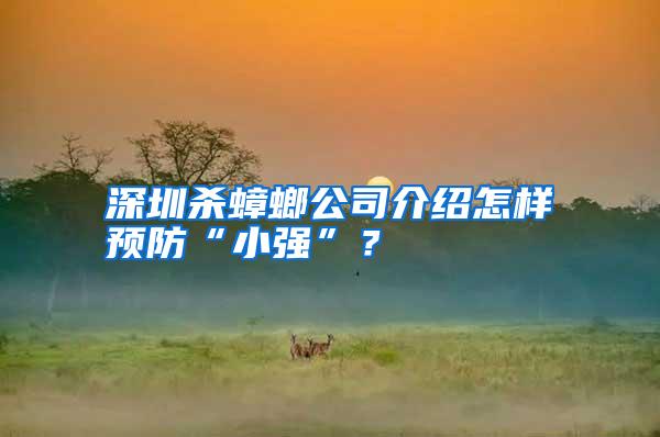 深圳殺蟑螂公司介紹怎樣預(yù)防“小強(qiáng)”?