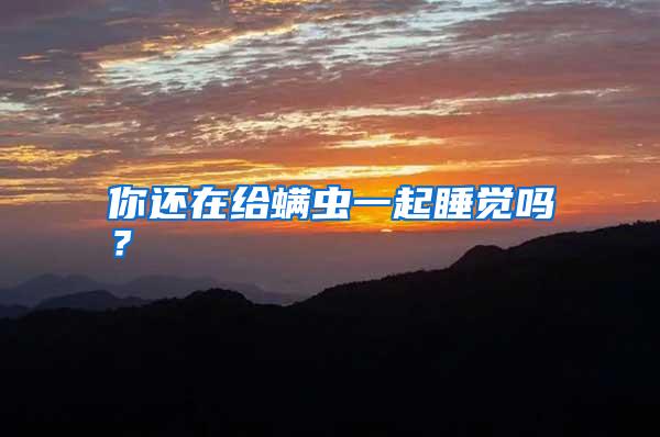 你還在給螨蟲一起睡覺嗎？
