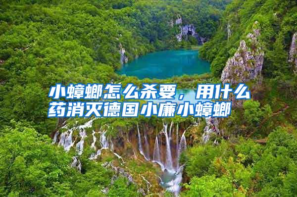 小蟑螂怎么殺要,用什么藥消滅德國(guó)小廉小蟑螂