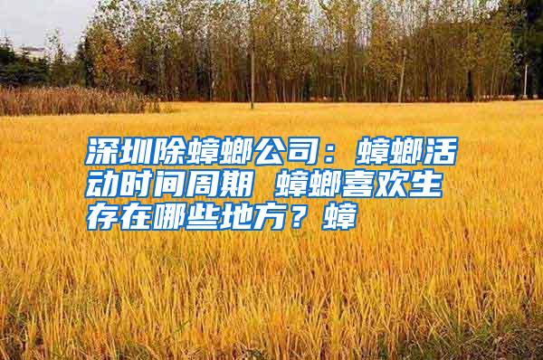 深圳除蟑螂公司:蟑螂活動時間周期 蟑螂喜歡生存在哪些地方?蟑