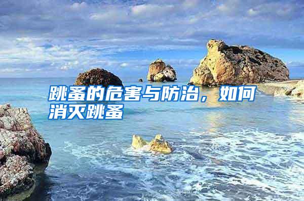 跳蚤的危害與防治，如何消滅跳蚤