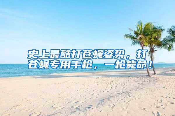 史上最酷打蒼蠅姿勢，打蒼蠅專用手槍，一槍斃命！
