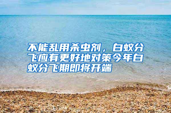 不能亂用殺蟲劑,白蟻分飛應(yīng)有更好地對策今年白蟻分飛期即將開端