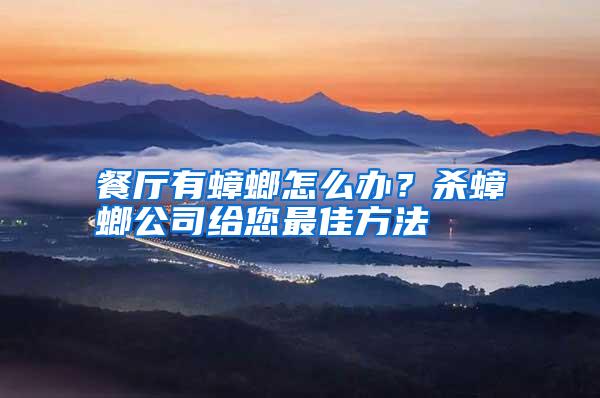 餐廳有蟑螂怎么辦？殺蟑螂公司給您最佳方法