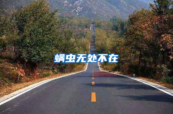 螨蟲(chóng)無(wú)處不在