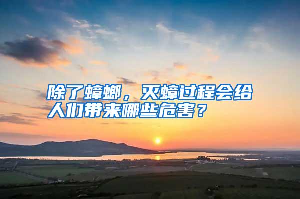 除了蟑螂,滅蟑過程會(huì)給人們帶來哪些危害?
