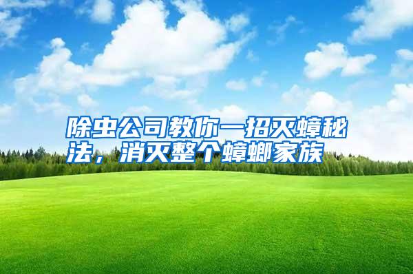 除蟲公司教你一招滅蟑秘法,消滅整個(gè)蟑螂家族
