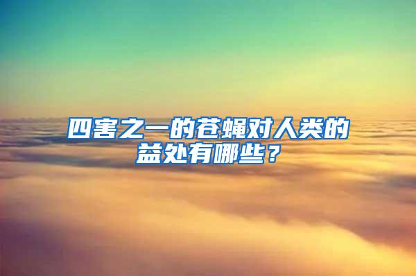 四害之一的蒼蠅對人類的益處有哪些？