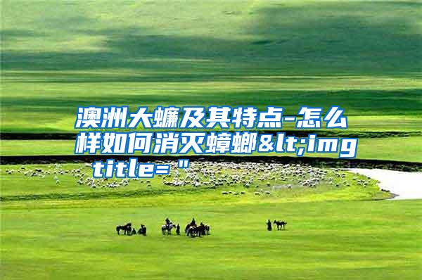 澳洲大蠊及其特點(diǎn)-怎么樣如何消滅蟑螂<img title="
