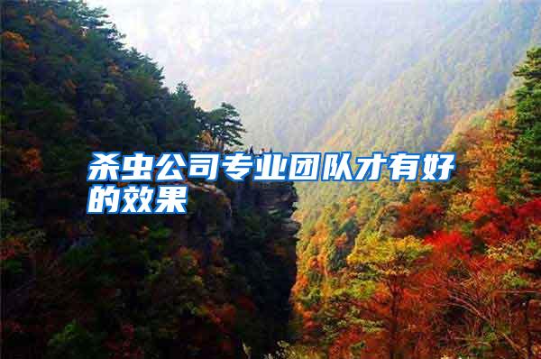 殺蟲(chóng)公司專(zhuān)業(yè)團(tuán)隊(duì)才有好的效果