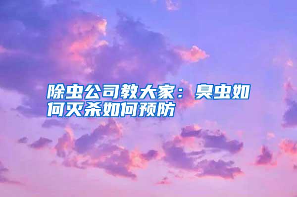 除蟲公司教大家:臭蟲如何滅殺如何預防