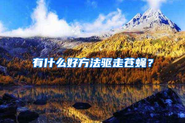 有什么好方法驅(qū)走蒼蠅？