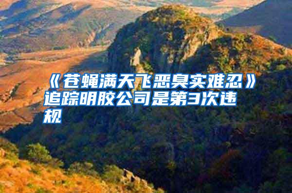 《蒼蠅滿天飛惡臭實難忍》追蹤明膠公司是第3次違規(guī)