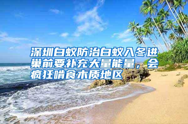 深圳白蟻防治白蟻入冬進(jìn)巢前要補(bǔ)充大量能量,會(huì)瘋狂啃食木質(zhì)地區(qū)