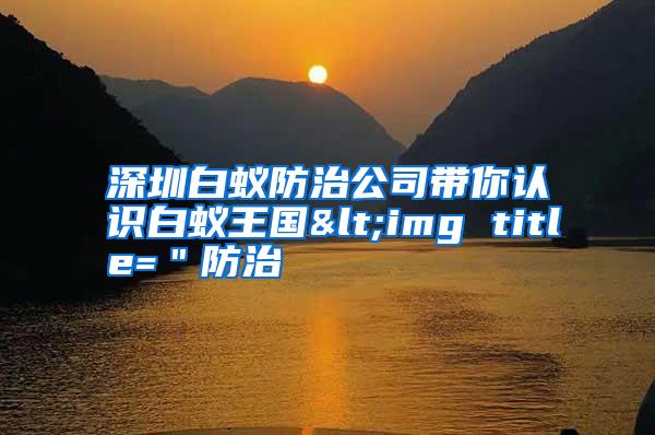 深圳白蟻防治公司帶你認識白蟻王國<img title="防治