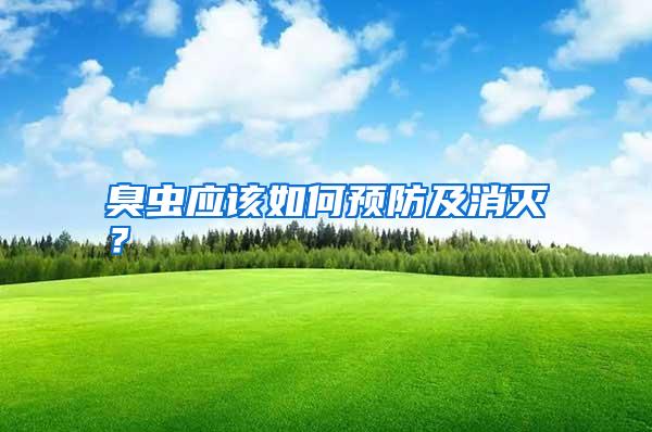 臭蟲(chóng)應(yīng)該如何預(yù)防及消滅?