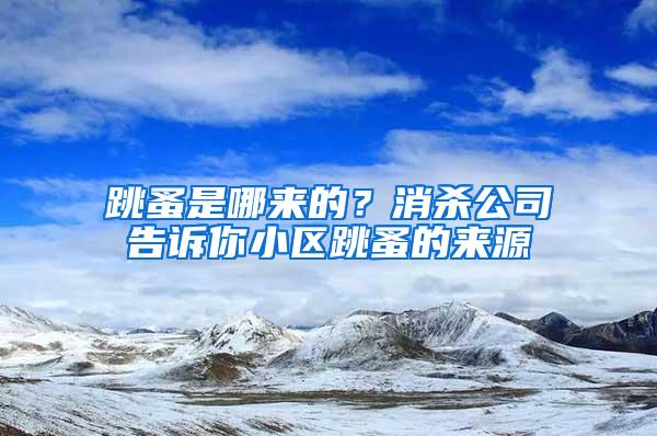 跳蚤是哪來(lái)的？消殺公司告訴你小區(qū)跳蚤的來(lái)源