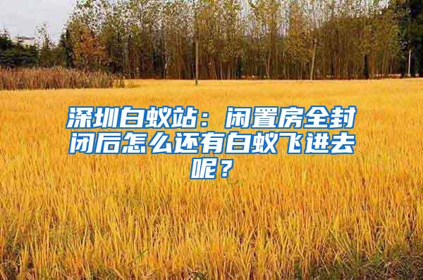深圳白蟻站：閑置房全封閉后怎么還有白蟻飛進(jìn)去呢？