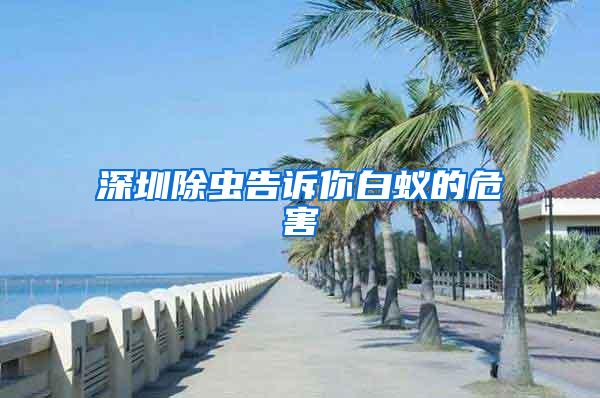 深圳除蟲(chóng)告訴你白蟻的危害