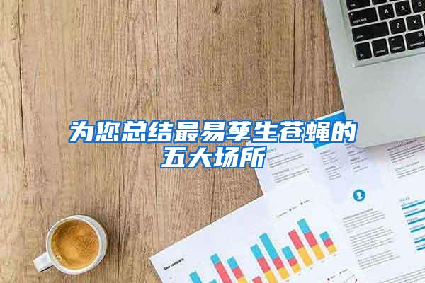 為您總結(jié)最易孳生蒼蠅的五大場所