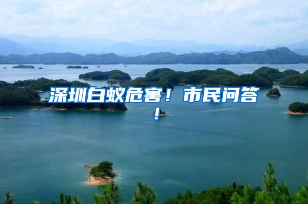 深圳白蟻危害！市民問答！