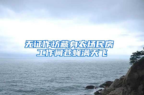 無證作坊藏身農(nóng)場(chǎng)民房 工作間蒼蠅滿天飛