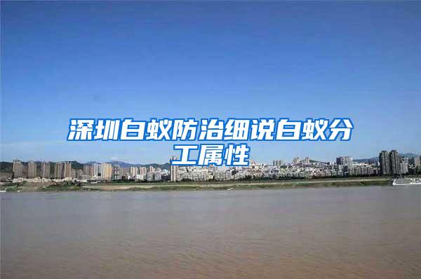 深圳白蟻防治細(xì)說(shuō)白蟻分工屬性