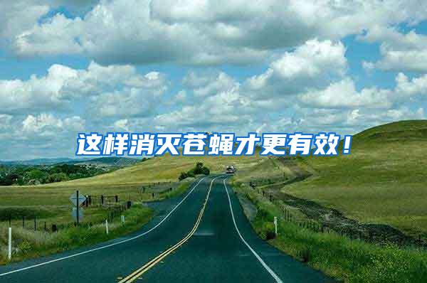 這樣消滅蒼蠅才更有效！