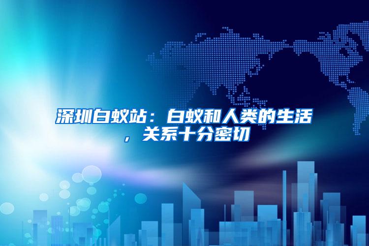 深圳白蟻站：白蟻和人類的生活，關(guān)系十分密切