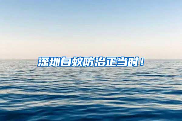 深圳白蟻防治正當(dāng)時(shí)！