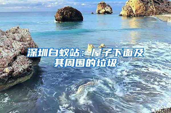 深圳白蟻站：屋子下面及其周?chē)睦?/></p>
					 <p style=