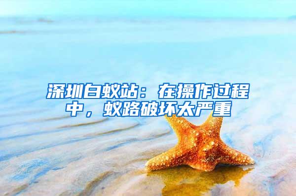 深圳白蟻站：在操作過程中，蟻路破壞太嚴重