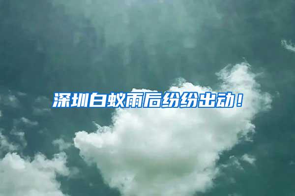 深圳白蟻雨后紛紛出動！