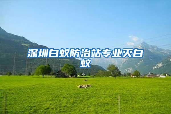 深圳白蟻防治站專(zhuān)業(yè)滅白蟻